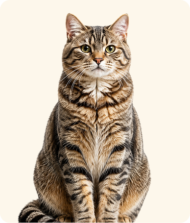 7 Simple Ways to Keep Your Pet Happy and Healthy