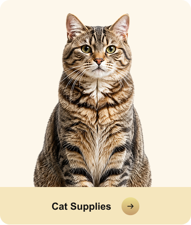 Cat Supplies