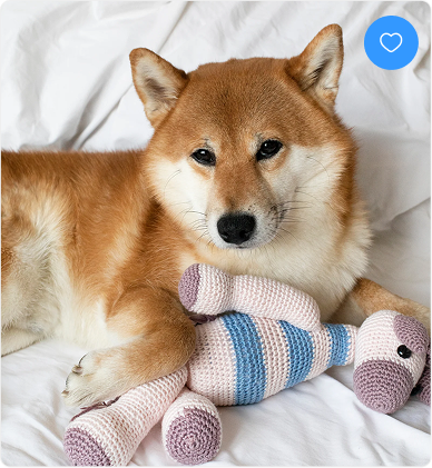 7 Simple Ways to Keep Your Pet Happy and Healthy