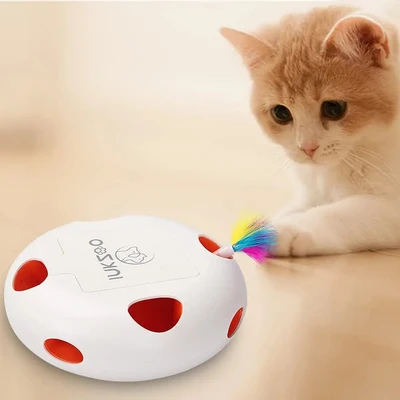 Cat Supplies