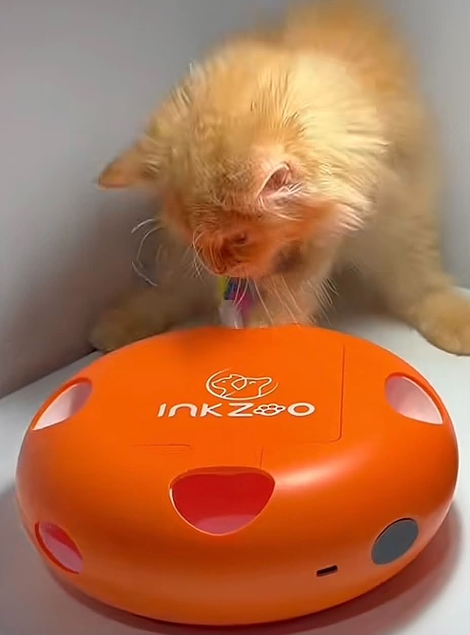 Smart Interactive Cat Toy