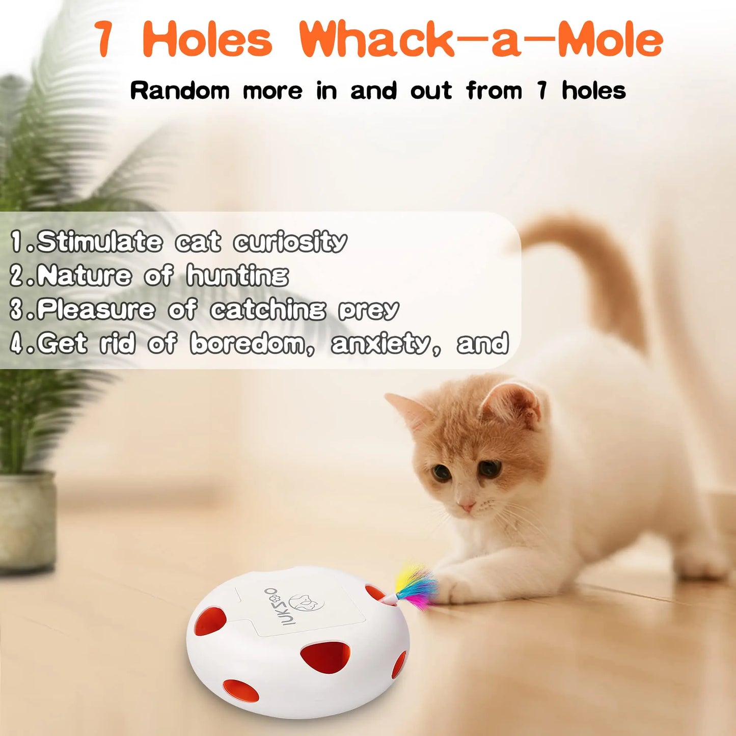 Interactive Cat Toy – Keep Your Cat Active & Happy