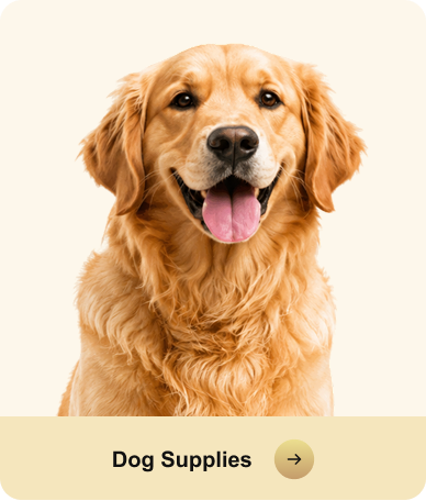 Dog Supplies